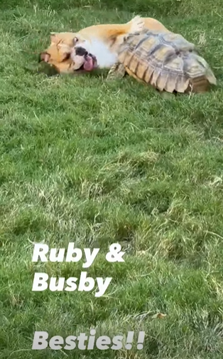 Ruby & Busby Besties!!