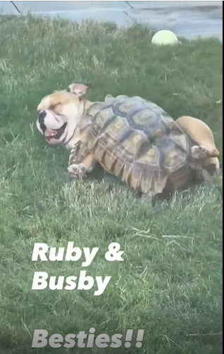 Ruby & Busby Besties!!