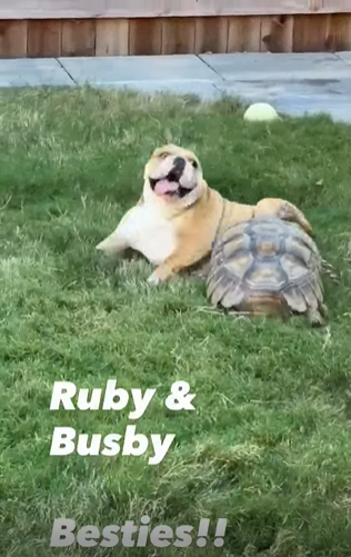 Ruby & Busby Besties!!