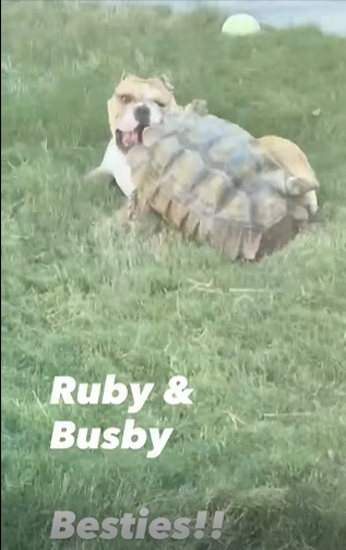 Ruby & Busby Besties!!