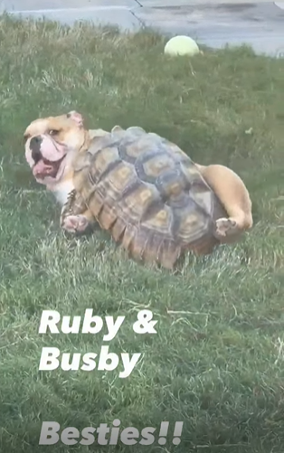 Ruby & Busby Besties!!