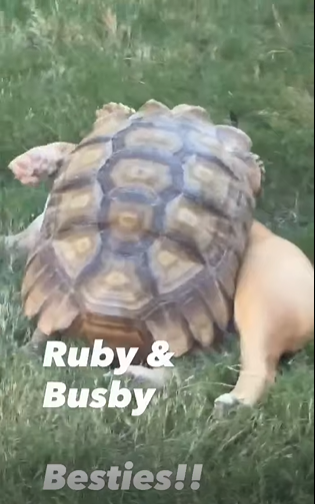 Ruby & Busby Besties!!