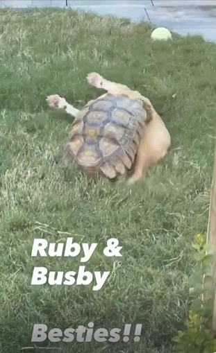 Ruby & Busby Besties!!