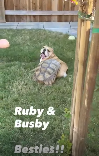 Ruby & Busby Besties!!