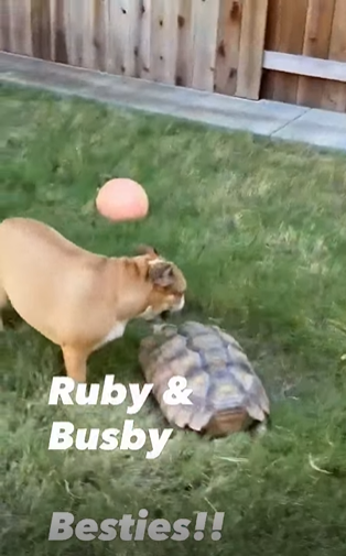 Ruby & Busby Besties!!