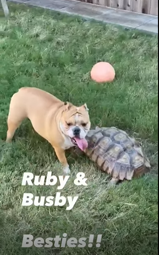 Ruby & Busby Besties!!