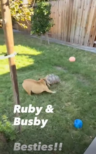 Ruby & Busby Besties!!