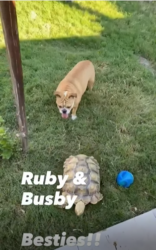 Ruby & Busby Besties!!