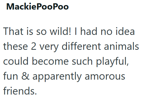 MackiePooPoo That is so wild! I had no idea these 2 very different animals could become such playful, fun & apparently amorous friends.