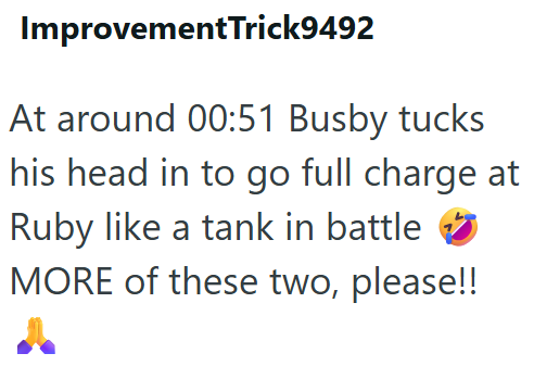 ImprovementTrick9492 At around 00:51 Busby tucks his head in to go full charge at Ruby like a tank in battle MORE of these two, please!!