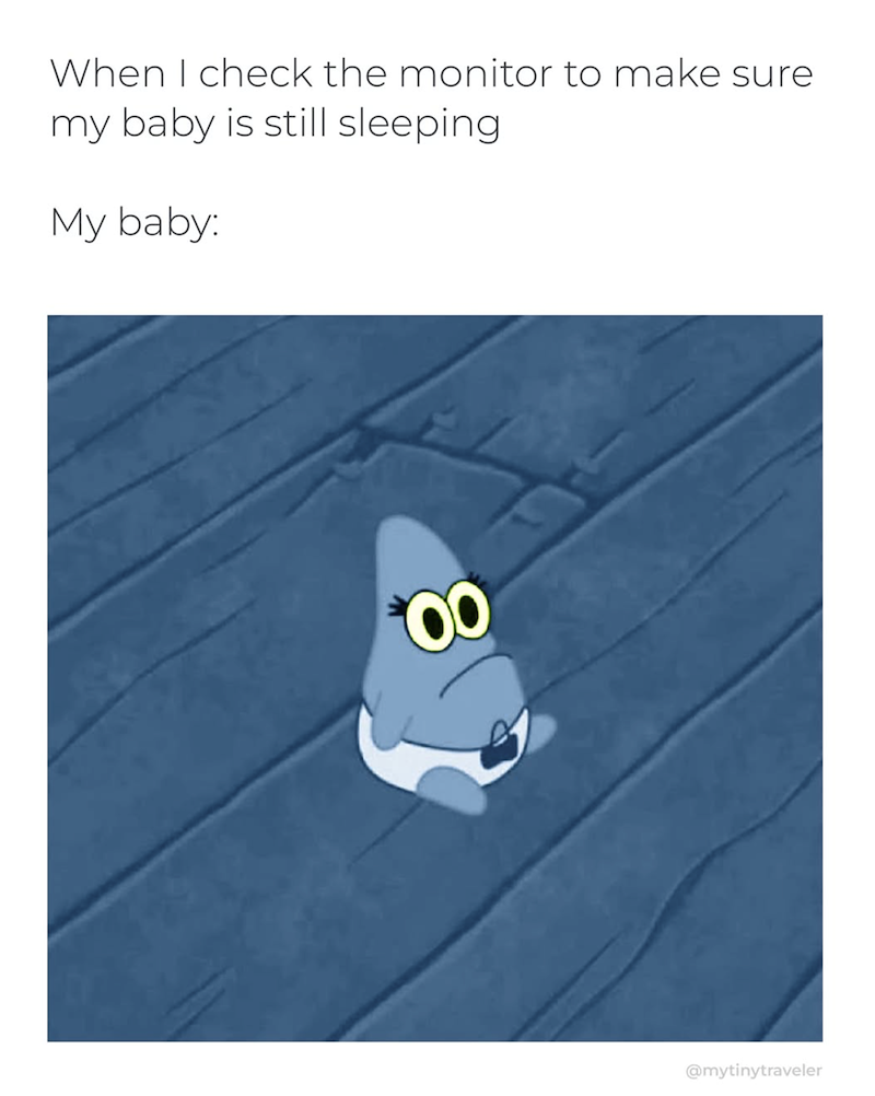 When I check the monitor to make sure my baby is still sleeping My baby: 00 g @mytinytraveler