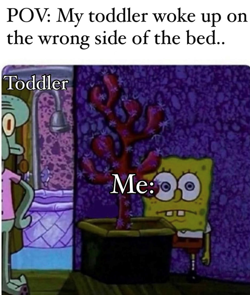 POV: My toddler woke up on the wrong side of the bed.. Toddler Me: O