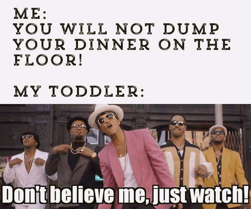ME: YOU WILL NOT DUMP YOUR DINNER ON THE FLOOR! MY TODDLER: Don't believe me, just watch!