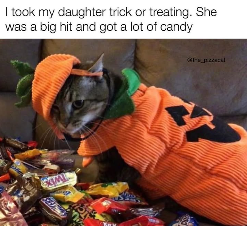 I took my daughter trick or treating. She was a big hit and got a lot of candy 560 XIMI ATCH @the_pizzacat and