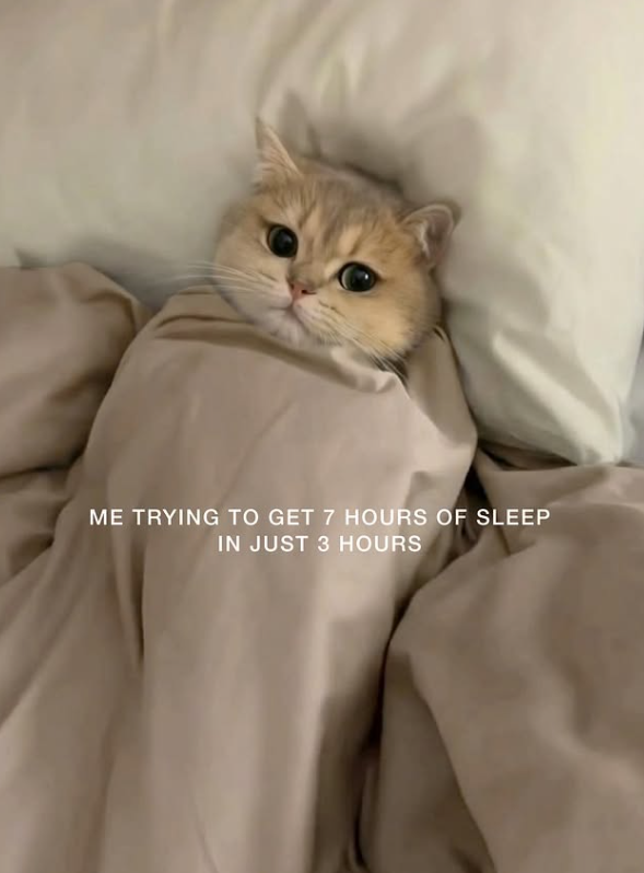 ME TRYING TO GET 7 HOURS OF SLEEP IN JUST 3 HOURS