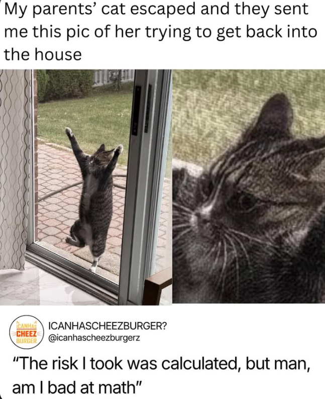 My parents' cat escaped and they sent me this pic of her trying to get back into the house WINNY ANDH CANHAS ICANHASCHEEZBURGER? CHEEZ BURGER @icanhascheezburgerz "The risk I took was calculated, but man, am I bad at math”