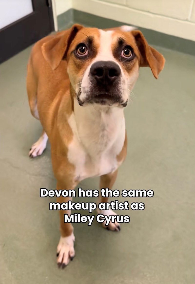 Devon has the same makeup artist as Miley Cyrus