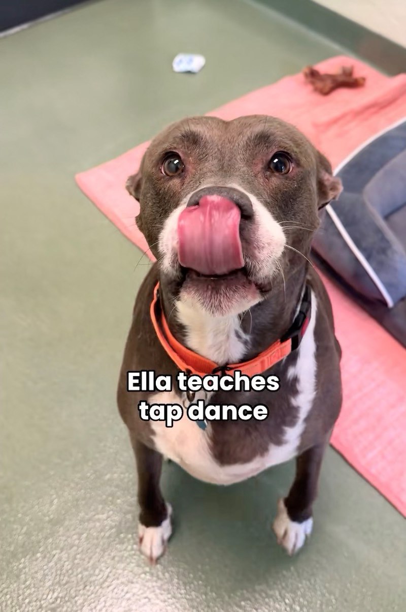 Ella teaches tap dance