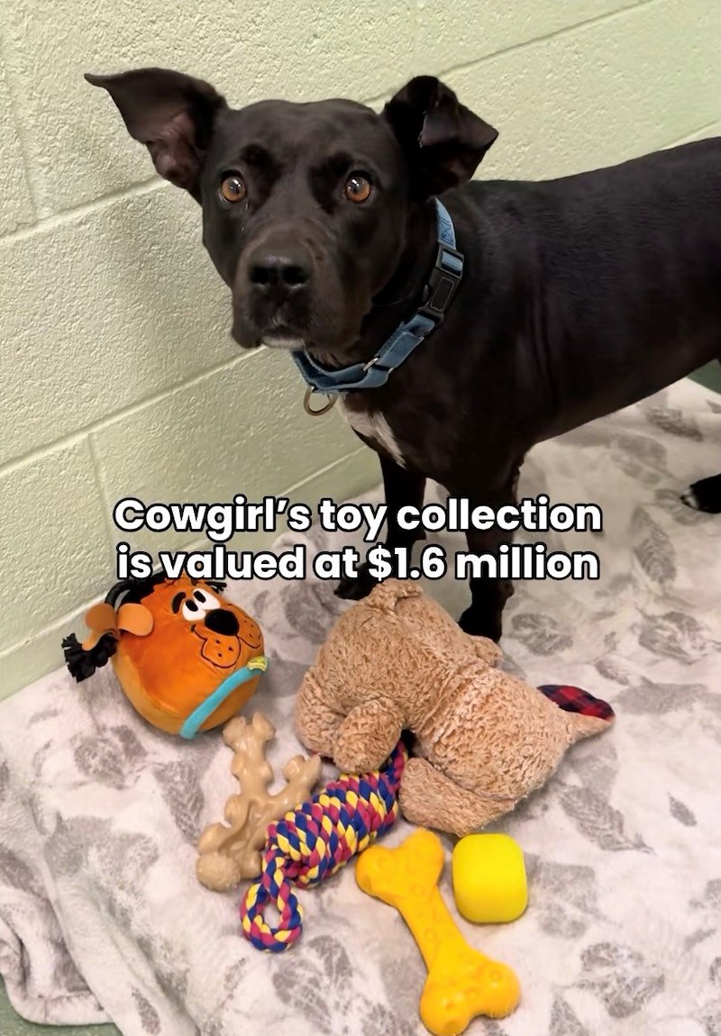 Cowgirl's toy collection is valued at $1.6 million