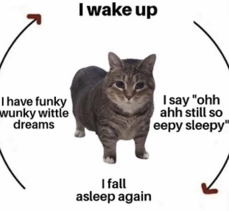 I wake up I have funky wunky wittle dreams I say "ohh ahh still so eepy sleepy" I fall asleep again