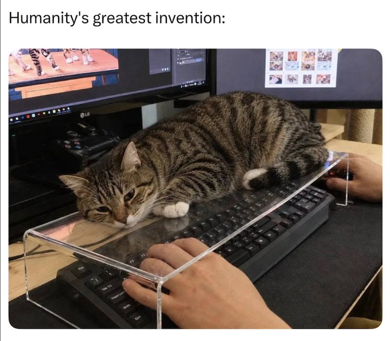 Humanity's greatest invention: Tab Div Caps Loc Shin LG