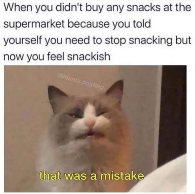 When you didn't buy any snacks at the supermarket because you told yourself you need to stop snacking but now you feel snackish @niunia.posting that was a mistake