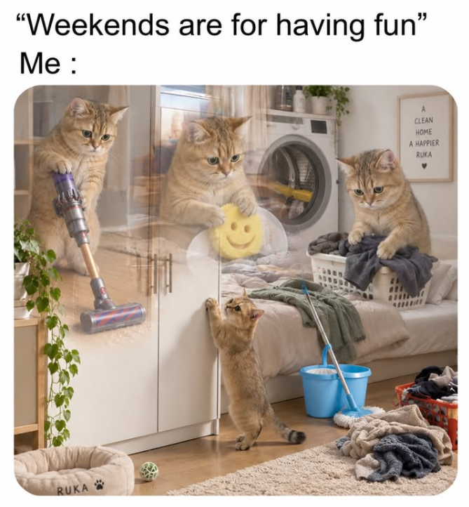 "Weekends are for having fun" Me: RUKA A CLEAN HOME A HAPPIER RUKA