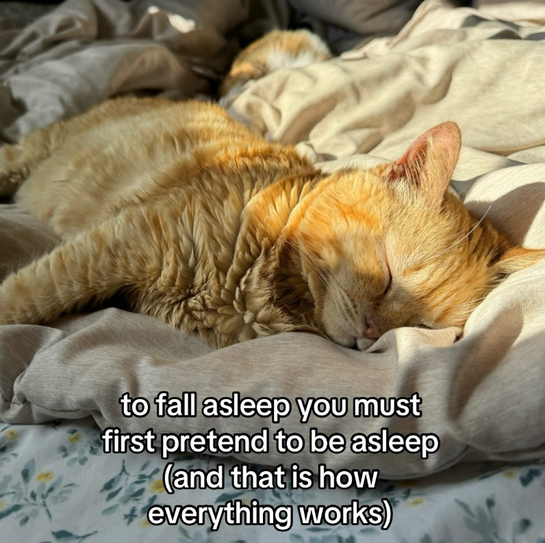 to fall asleep you must first pretend to be asleep (and that is how everything works)