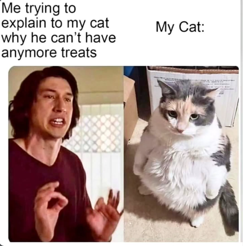 Me trying to explain to my cat why he can't have anymore treats My Cat: