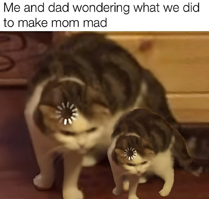 Me and dad wondering what we did to make mom mad
