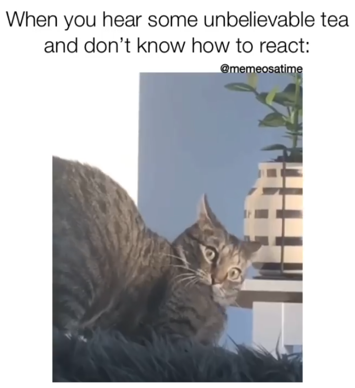When you hear some unbelievable tea and don't know how to react: @memeosatime