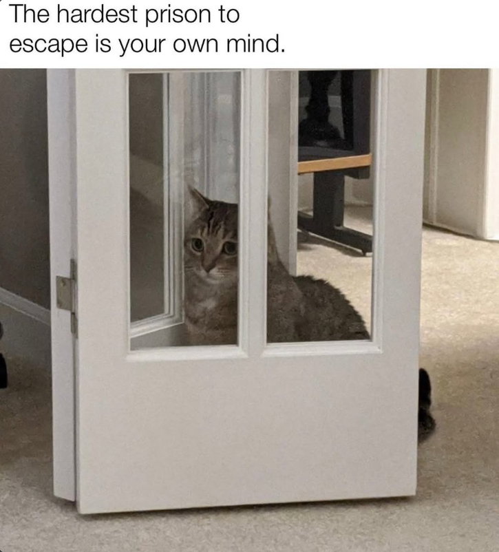 The hardest prison to escape is your own mind.