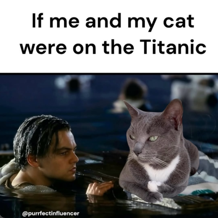 If me and my cat were on the Titanic @purrfectinfluencer