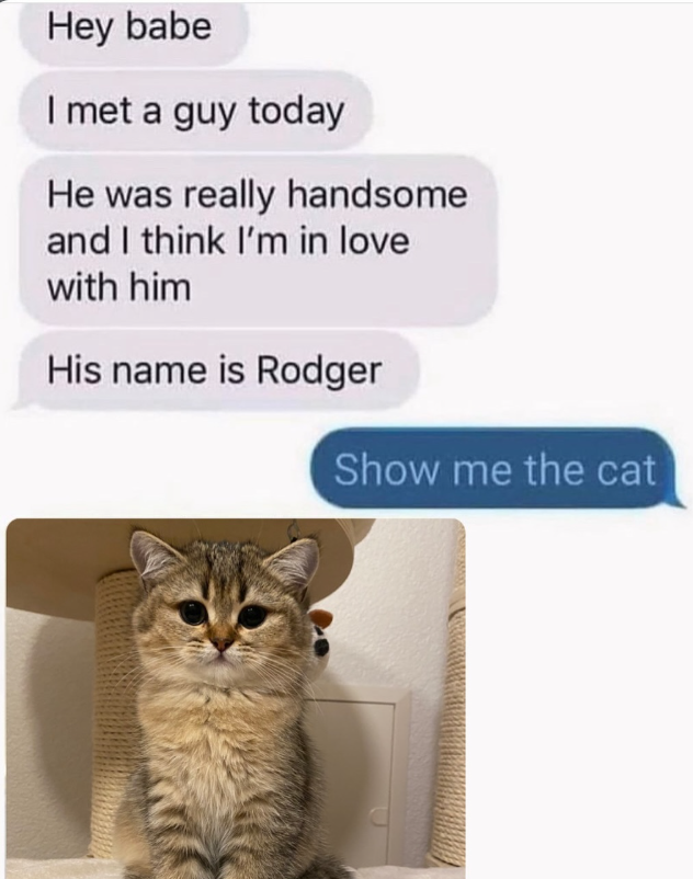 Hey babe I met a guy today He was really handsome and I think I'm in love with him His name is Rodger Show me the cat