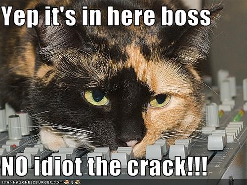 yep-its-in-here-boss-no-idiot-the-crack