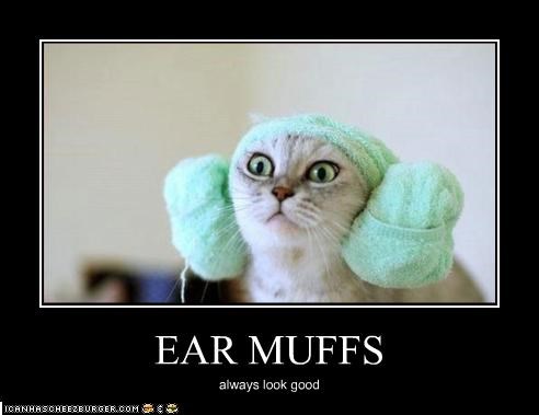 ear-muffs