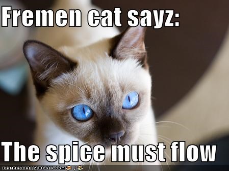 fremen-cat-sayz-the-spice-must-flow