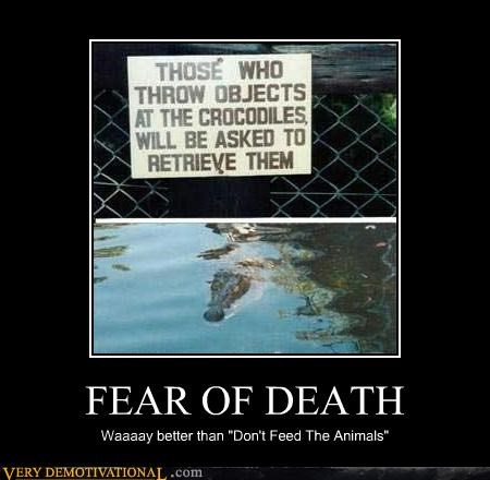 sign,fear,Death,animals