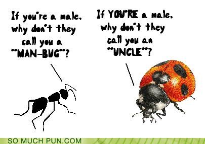ant aunt classification confusion gendered homophones ladybug names uncle - 4402473984