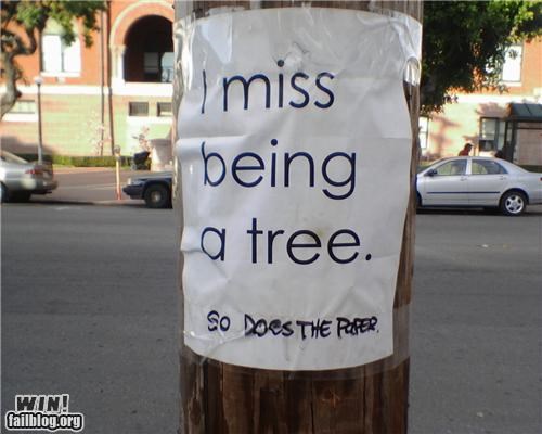 clever paper poster trees - 4789694464
