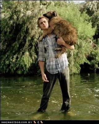 Cheezburger Image 4998764544