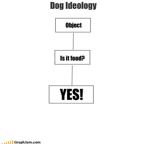 always,food,dogs