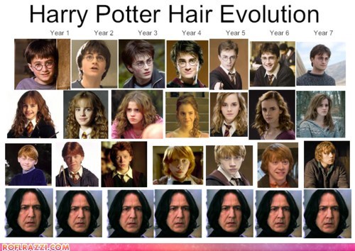 Harry Potter Hair Evolution Pop Culture Funny Celebrity