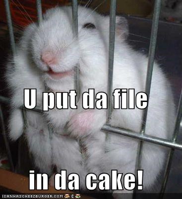 u-put-da-file-in-da-cake