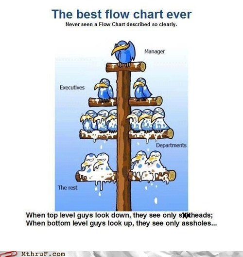 angry birds,birds,departments,executives,flow chart,Hall of Fame,manager