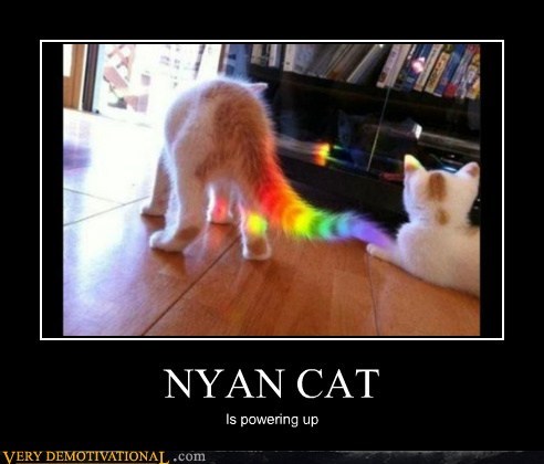 cat hilarious Nyan Cat powering up wtf - 6034231040