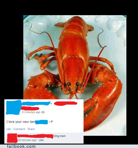 lobster parenting red tan tanning - 6224524032