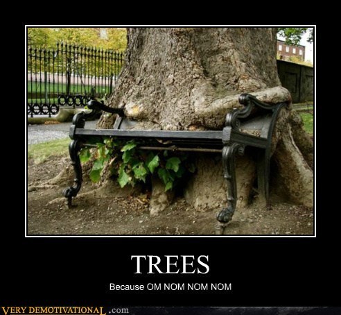 bench,eating,hilarious,noms,trees