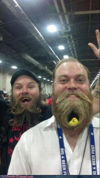 animals,BAMF,beard,birdhouse,manly