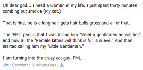 Cats,Crazy Cat Guy,forever alone